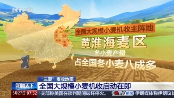 视频丨由南向北开镰 全国大规模小麦机收有序进行