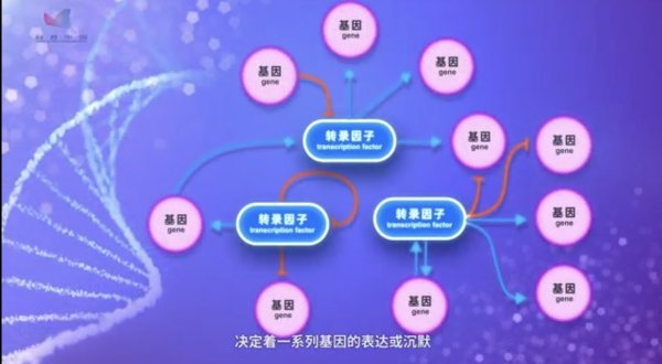 破解新药研发“卡脖子”难题，我国科学家揭示干预多种脑部疾病的新路径