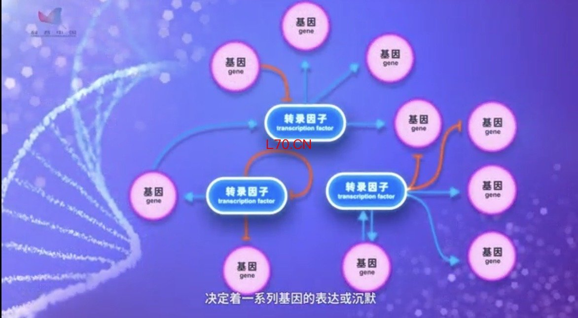 受访单位提供