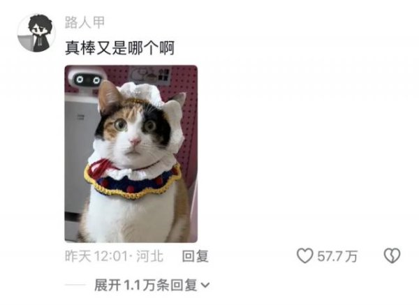 人猫交流的千年难题，现在1块钱就解决了？