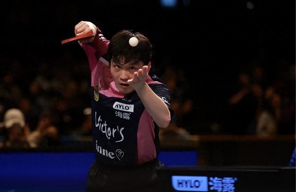 樊振东20分钟横扫对手, 德甲门票炒至180欧! 央视30年破例转播?
