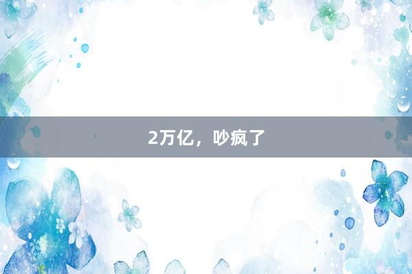 2万亿,吵疯了