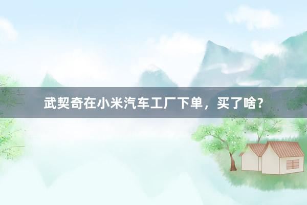 武契奇在小米汽车工厂下单，买了啥？