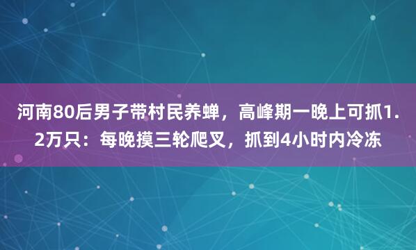 河南80后男子带村民养蝉，高峰期一晚上可抓1.2万只：每晚摸三轮爬叉，抓到4小时内冷冻