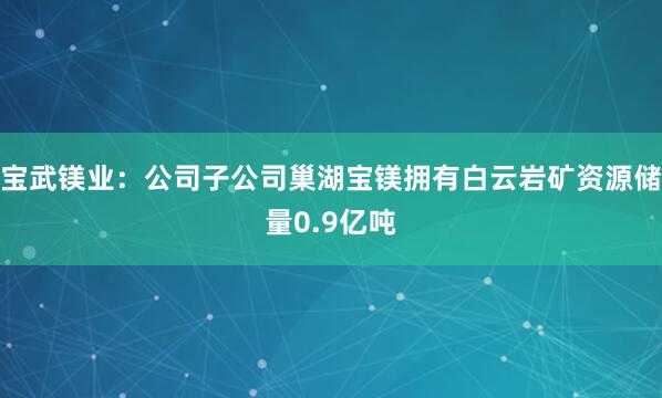 宝武镁业:公司子公司巢湖宝镁拥有白云岩矿资源储量0.9亿吨