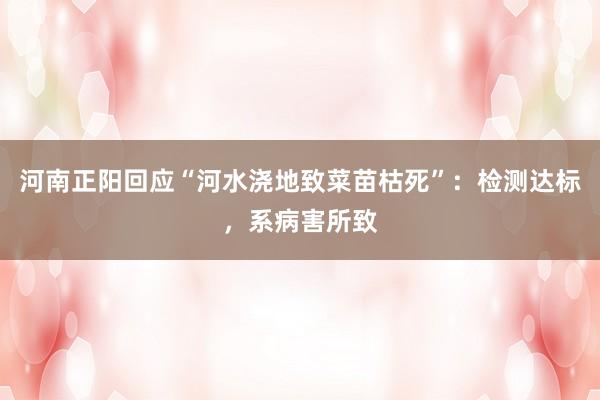 河南正阳回应“河水浇地致菜苗枯死”:检测达标,系病害所致