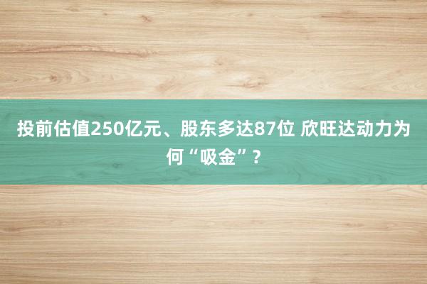 投前估值250亿元、股东多达87位 欣旺达动力为何“吸金”?