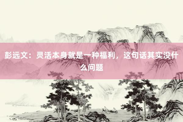 彭远文:灵活本身就是一种福利,这句话其实没什么问题