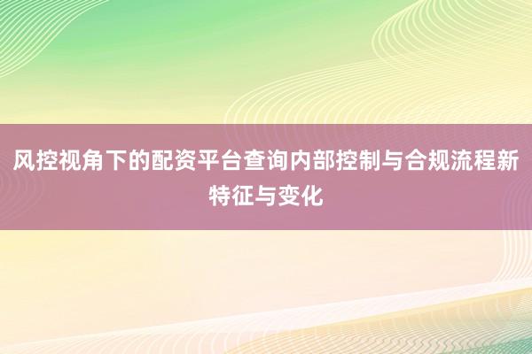 风控视角下的配资平台查询内部控制与合规流程新特征与变化