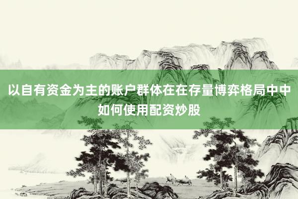 以自有资金为主的账户群体在在存量博弈格局中中如何使用配资炒股