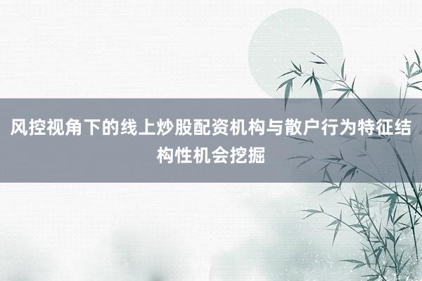 风控视角下的线上炒股配资机构与散户行为特征结构性机会挖掘
