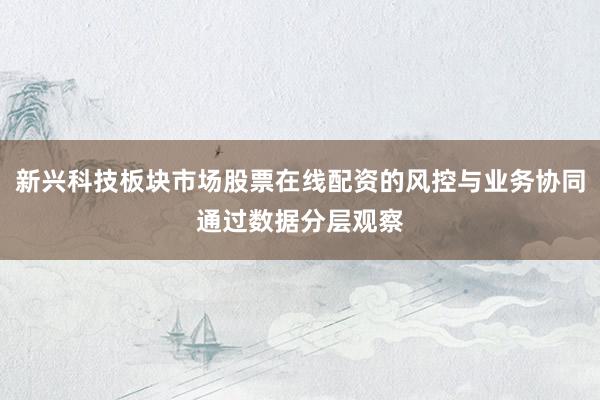 新兴科技板块市场股票在线配资的风控与业务协同通过数据分层观察