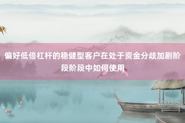 偏好低倍杠杆的稳健型客户在处于资金分歧加剧阶段阶段中如何使用