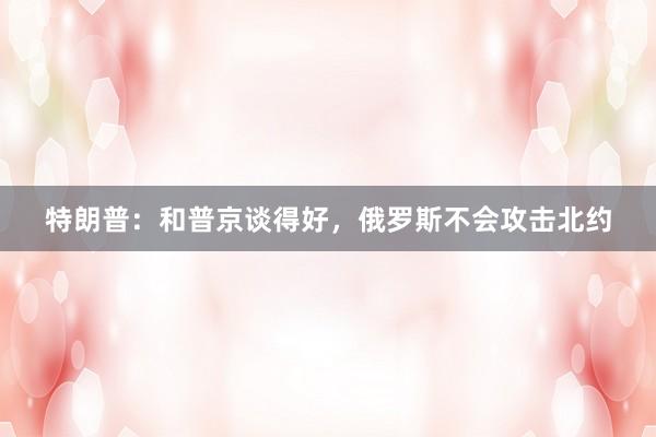 特朗普:和普京谈得好,俄罗斯不会攻击北约