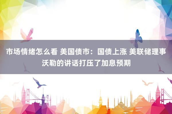 市场情绪怎么看 美国债市:国债上涨 美联储理事沃勒的讲话打压了加息预期
