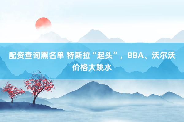配资查询黑名单 特斯拉“起头”,BBA、沃尔沃价格大跳水