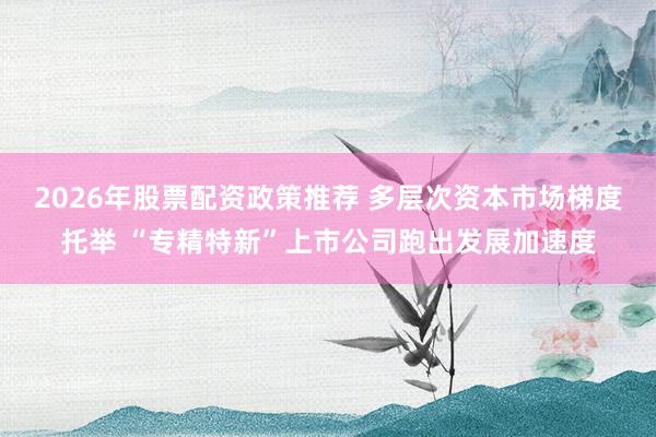 2026年股票配资政策推荐 多层次资本市场梯度托举 “专精特新”上市公司跑出发展加速度