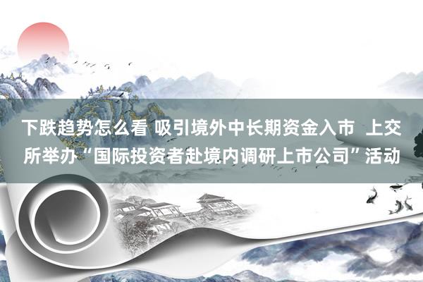 下跌趋势怎么看 吸引境外中长期资金入市  上交所举办“国际投资者赴境内调研上市公司”活动