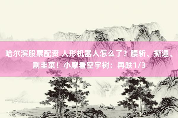 哈尔滨股票配资 人形机器人怎么了?腰斩、撕逼、割韭菜!小摩看空宇树:再跌1/3