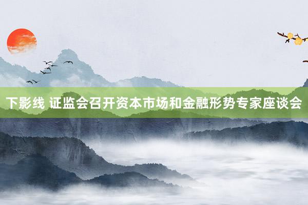 下影线 证监会召开资本市场和金融形势专家座谈会