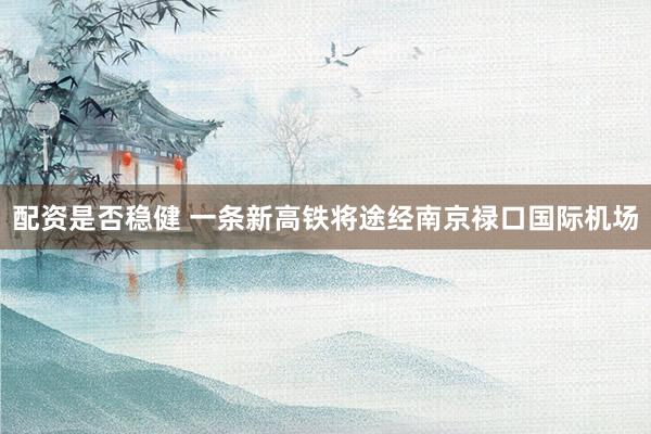 配资是否稳健 一条新高铁将途经南京禄口国际机场